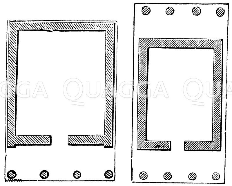 Prostylos. Amphiprostylos Quagga Illustrations