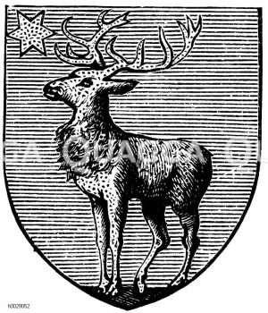 Wappen von Sigmaringen [Digital]