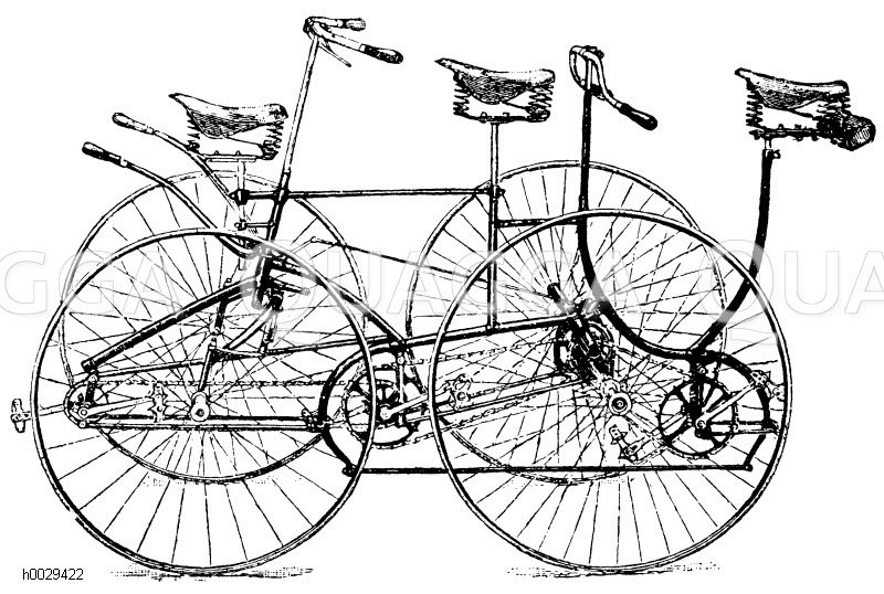 Dreisitziges Vierrad (Phillips Triplet) Quagga Illustrations