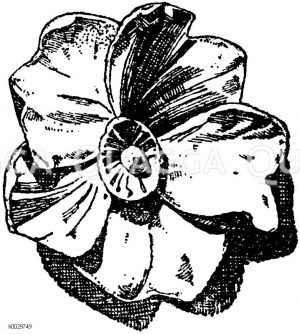 Ornament: Blüten [Digital]