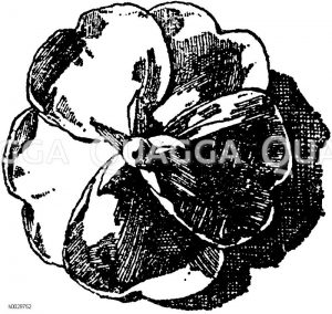 Ornament: Blüten [Digital]