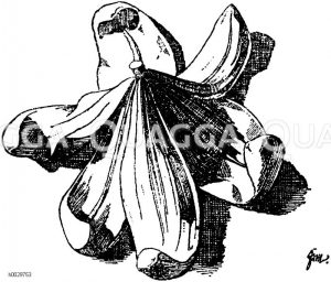 Ornament: Blüten [Digital]