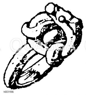 Renaissancering von einem Bilde im Germanischen Museum. (Luthmer) [Digital]