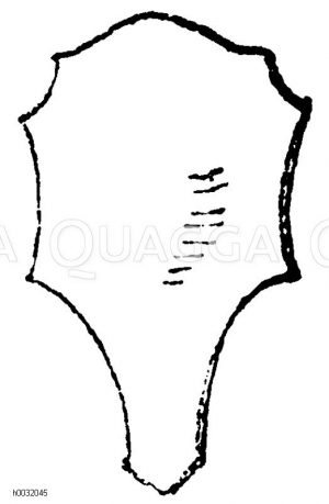 Schildform italienischer Renaissance. [Digital]