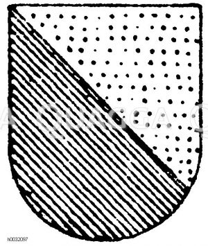 Heroldsbild: Schräg rechts geteilt von Gold und Grün. [Digital]