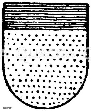 Heroldsbild: Ein blaues Haupt in Gold. [Digital]