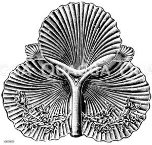 Dreiteilige Menage [Digital]