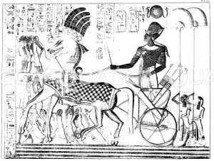 Rückkehr Ramses' III. mit Gefangenen (Medinet-Habu). Nach Wilkinson, "Manners & Customs of the ancient Egyptians" [Digital]