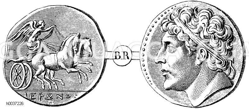 Hieron von Sizilien auf einer BronzeMünze. Nach Bisconti Quagga