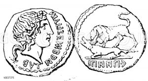 Münze der italischen Bundesgenossenschaft [Digital]