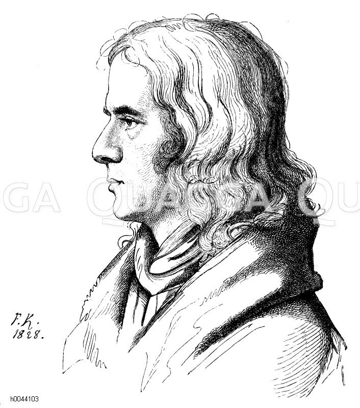 Adelbert von Chamisso Quagga Illustrations