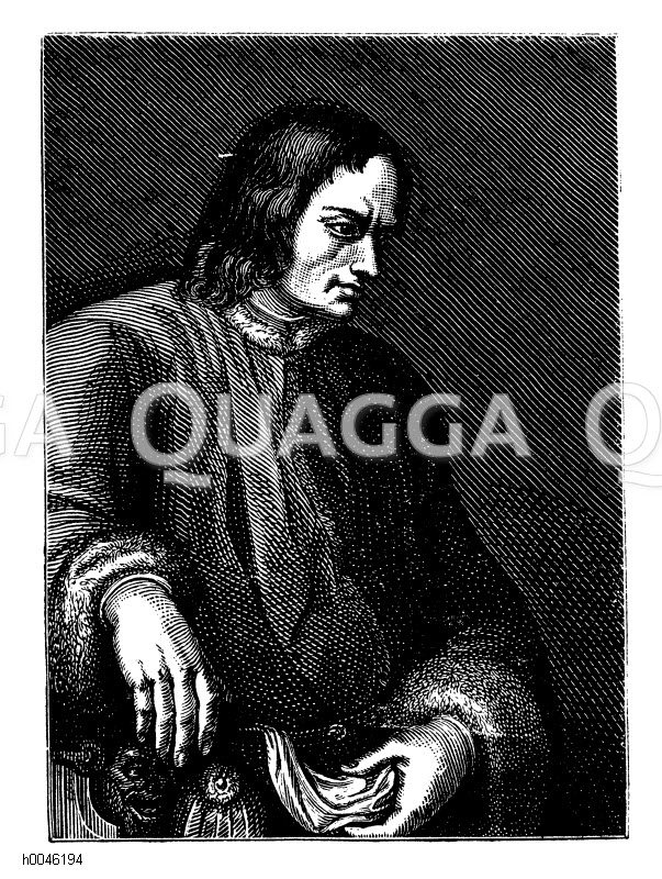 Lorenzo I. de Medici Quagga Illustrations
