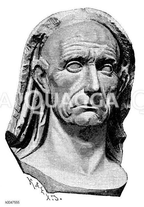 Cäsar Bildkategorie Quagga Illustrations Bilddatenbank