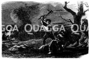 Menschenfresser-Löwe [Digital]