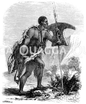 Betschuanen-Häuptling in Kriegstracht [Digital]