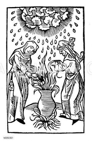 Hexen machen Donner und Hagel [Digital]