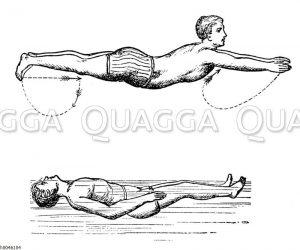 Schwimmen und Rückenschwimmen Zeichnung/Illustration