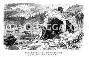 Deutsche Landschaft zur Zeit des Höhlenbären (Diluvium) Zeichnung/Illustration