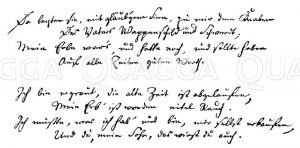 Der Klapperstorch