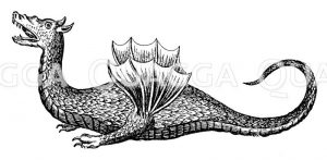 Drache Zeichnung/Illustration