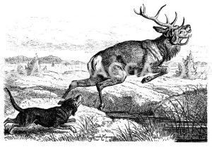 Hirsch wird von Jagdhund gejagt Zeichnung/Illustration