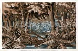 Landschaft aus der Steinkohlezeit (Karbon) Zeichnung/Illustration