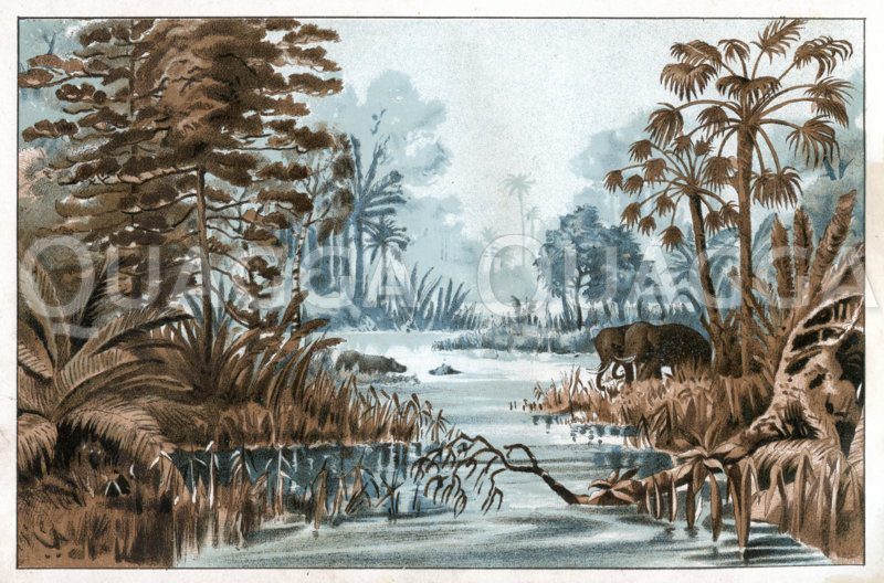 Landschaft aus der Braunkohlezeit (Tertiär) Zeichnung/Illustration