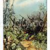 Nashornjagd in Afrika Zeichnung/Illustration