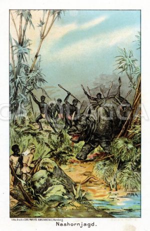 Nashornjagd in Afrika Zeichnung/Illustration