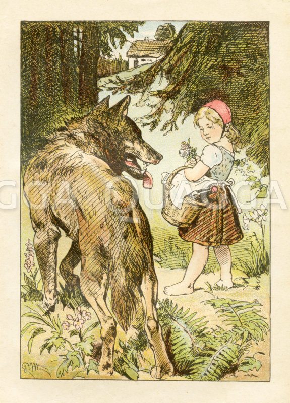Rotkäppchen und der Wolf. Der Wolf überredet das Mädchen