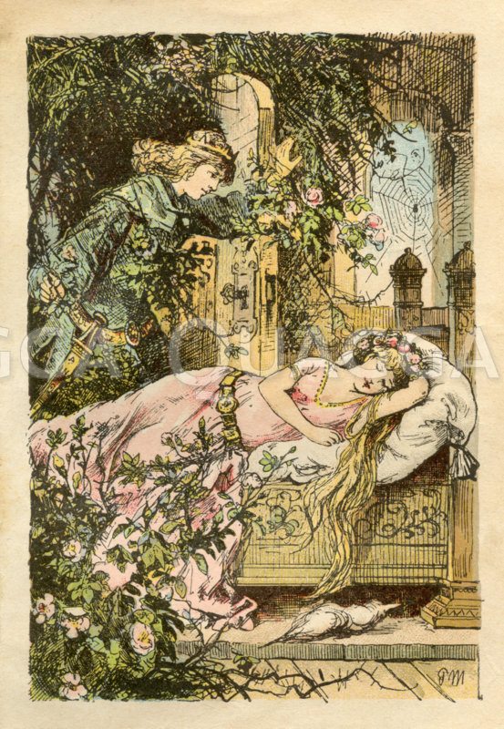 Dornröschen. Der Prinz kommt durch die Dornenhecke und findet das schlafende Mädchen. Grimms Märchen Zeichnung/Illustration