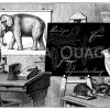Lehrmittel für den naturwissenschaftlichen Unterricht über das Tierreich Zeichnung/Illustration