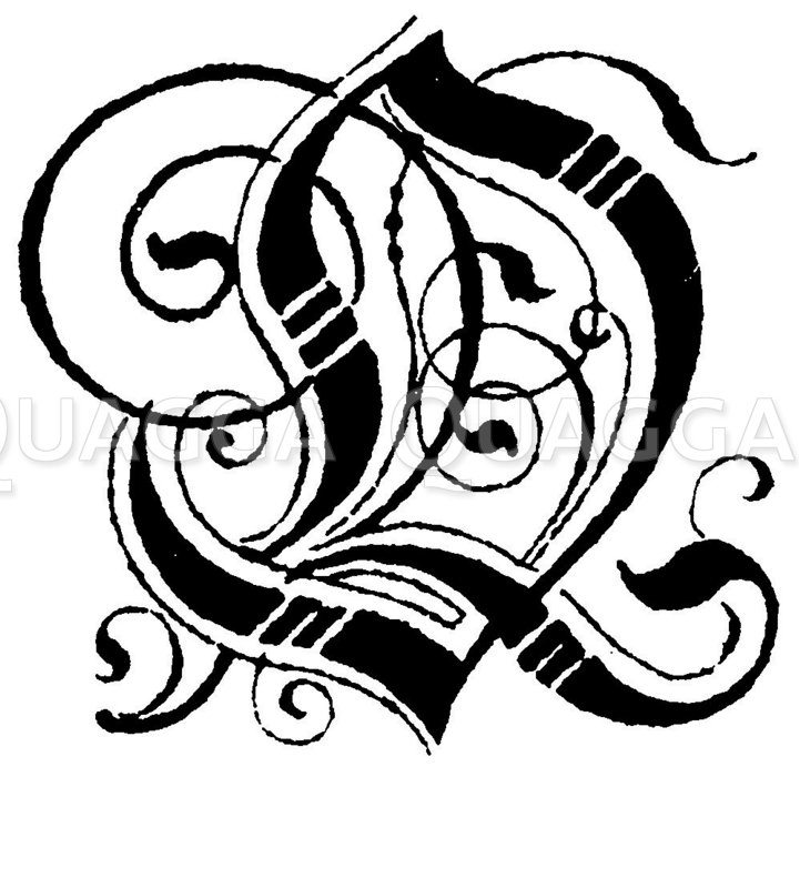Buchstabe Q Schriftart Alte Kanzlei Frakturschrift Quagga Illustrations