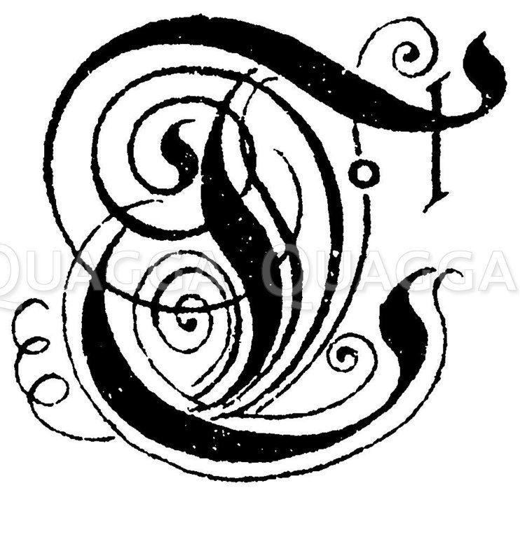 Buchstabe T, Schriftart: Alte Kanzlei-Frakturschrift - Quagga Illustrations
