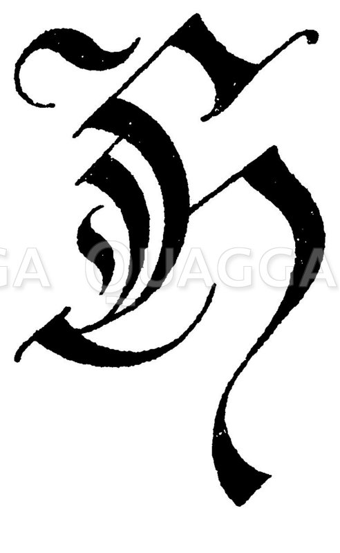 Buchstabe H, Schriftart: Kanzlei-Frakturschrift - Quagga Illustrations