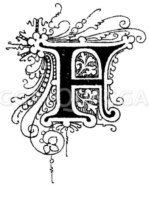 Buchstabe F, Schriftart: Alte Kirchenschrift - Quagga Illustrations