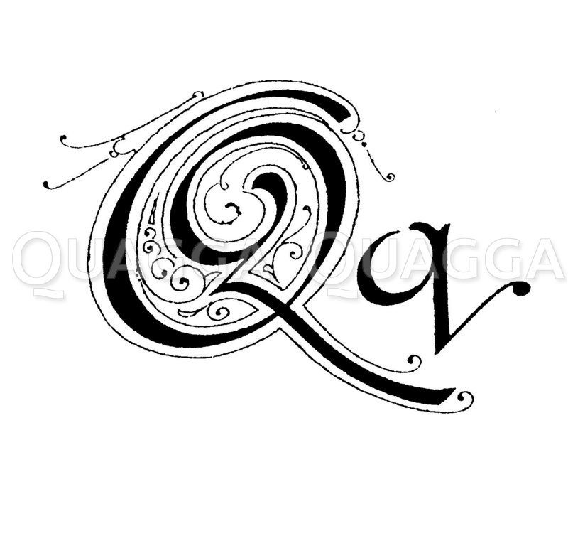 Buchstabe Q Zeichnung/Illustration
