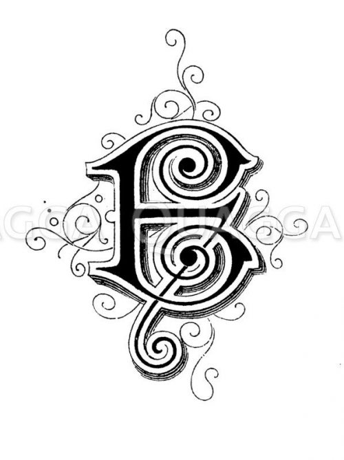 Buchstabe E, Schriftart: Jugendstil - Quagga Illustrations