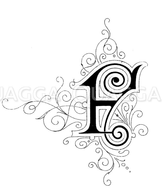 Buchstabe F, Schriftart: Jugendstil - Quagga Illustrations