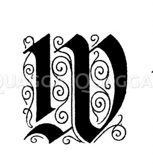 Buchstabe W; Initiale; Majuskel; Typografie; Typographie; Versal