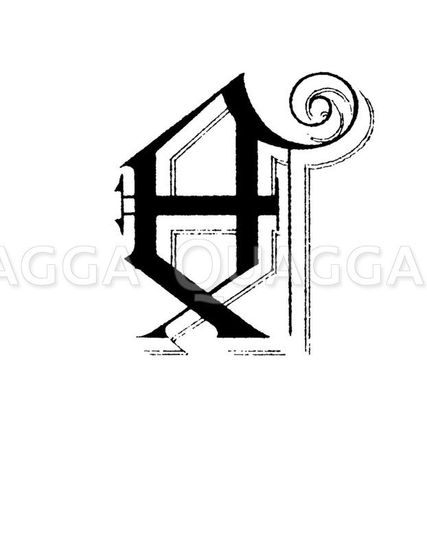 Buchstabe E, Schriftart: Phantasie-Altgotisch - Quagga Illustrations