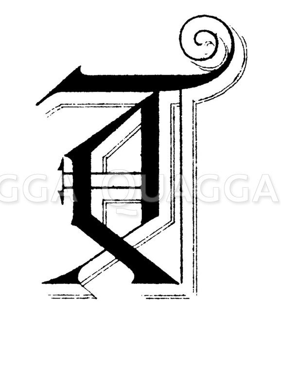 Buchstabe T, Schriftart: Phantasie-Altgotisch - Quagga Illustrations