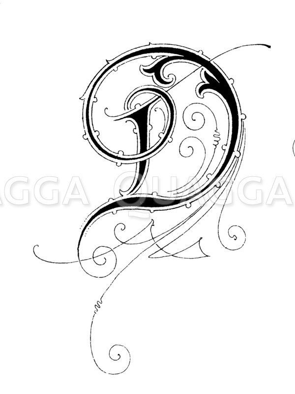 Buchstabe D Schriftart Jugendstil Quagga Illustrations