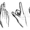 Fingersprache Zeichnung/Illustration