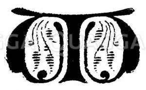 Buchstabe W Zeichnung/Illustration