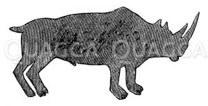Nashorn: Zeichnung eines Buschmannes Zeichnung/Illustration
