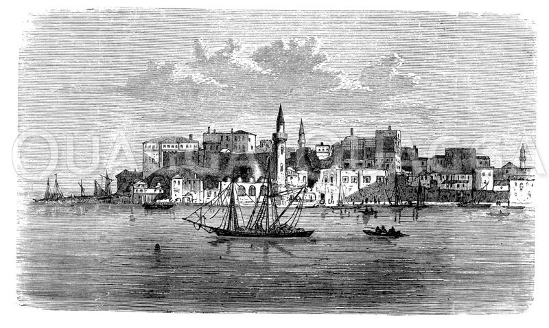 Kanea auf Candia Quagga Illustrations