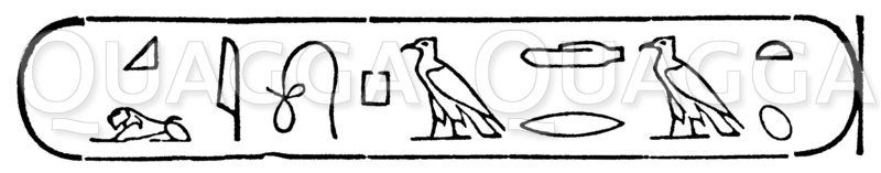 Kleopatra Zeichnung/Illustration