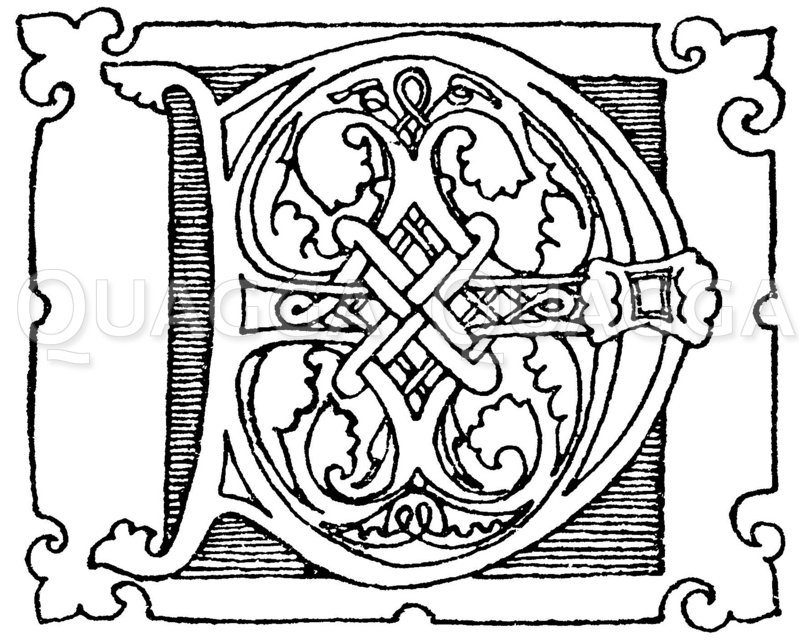 Romanische Schrift: Buchstabe D. Initial aus dem 12. Jahrhundert. Zeichnung/Illustration