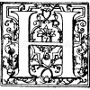 Lateinische Renaissanceschrift: Buchstabe H. Initial aus der Barockzeit. Französisch. (Hrachowina) Zeichnung/Illustration